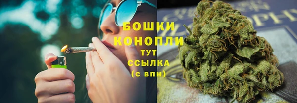 альфа пвп Новодвинск
