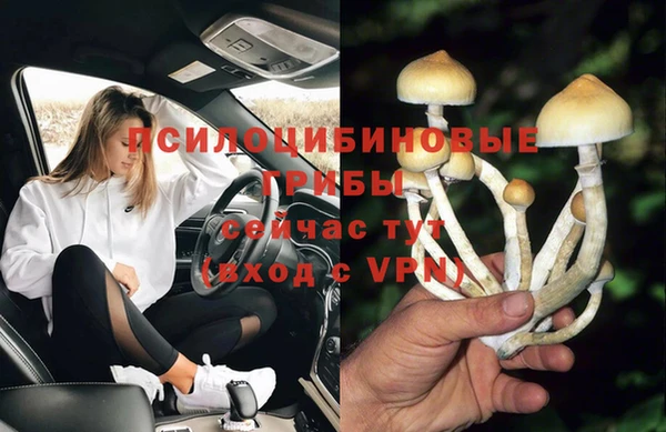 МДМА Алексеевка