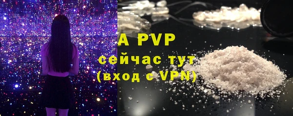 эйфоретик Новокубанск