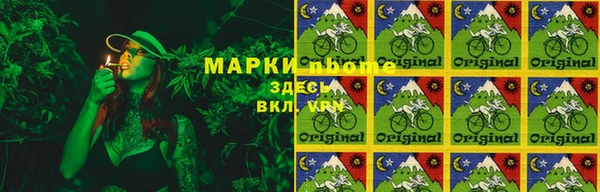 ПСИЛОЦИБИНОВЫЕ ГРИБЫ Новозыбков