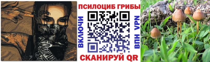 Галлюциногенные грибы GOLDEN TEACHER Артёмовск